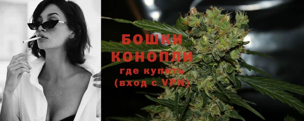 индика Богданович