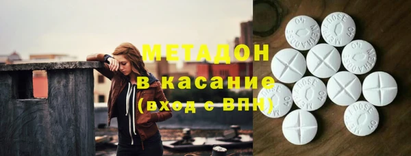 индика Богданович