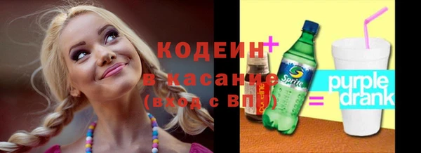 индика Богданович