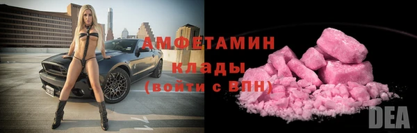 индика Богданович