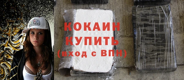 дмт Богородск