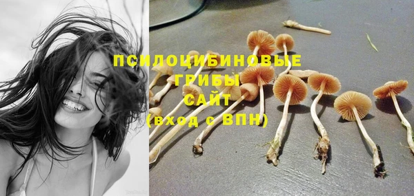 гашишное масло Богородицк