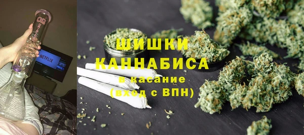 индика Богданович
