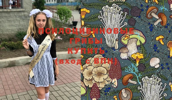 дмт Богородск