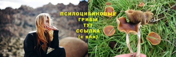 дмт Богородск