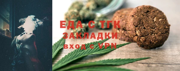 индика Богданович