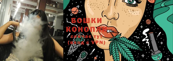индика Богданович